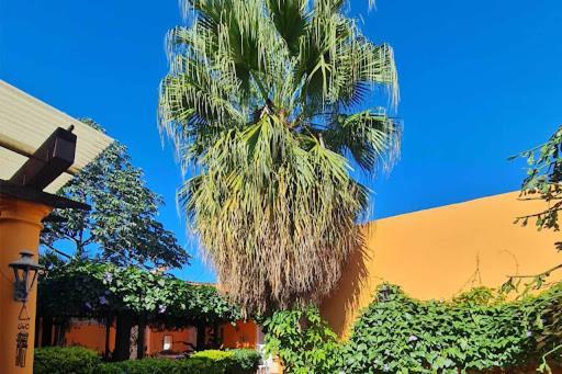 Hostal Paradiso Asunción Exterior foto